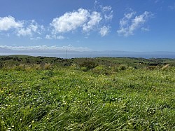 Tarifa